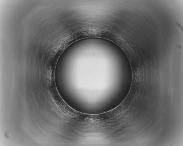 X0000102500739200808151520