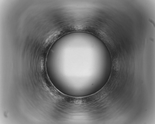 X0000102500740200808151520