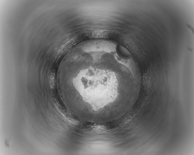 X0000102500741200808151520