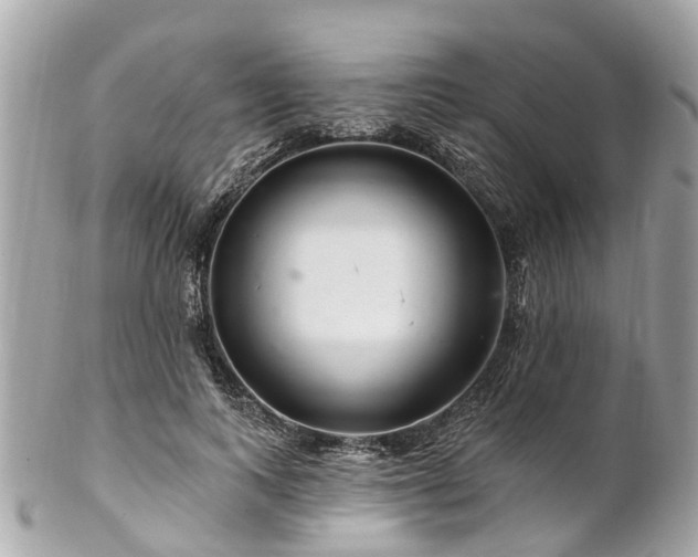 X0000102500743200808151520