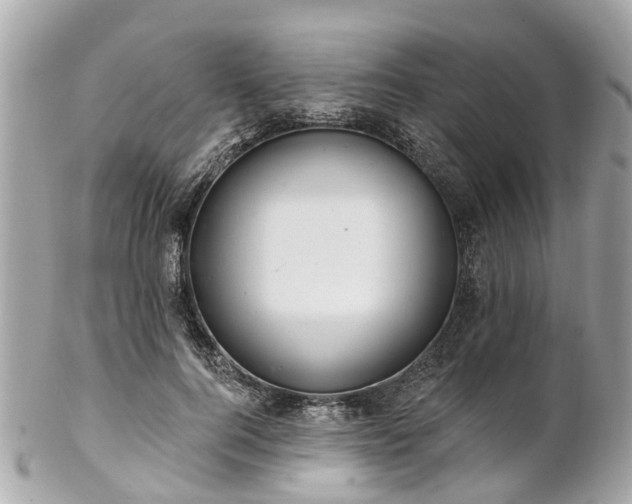 X0000102500744200808151520