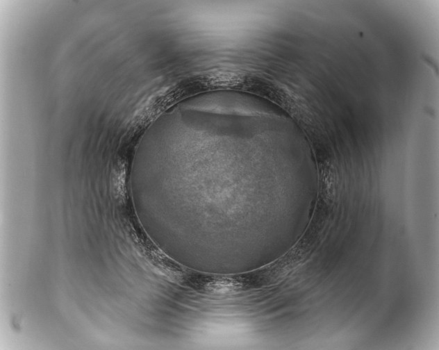 X0000102500745200808151520