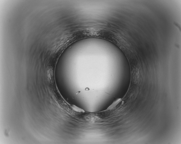 X0000102500747200808151520