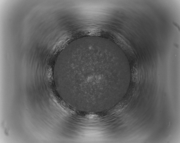 X0000102500748200808151520