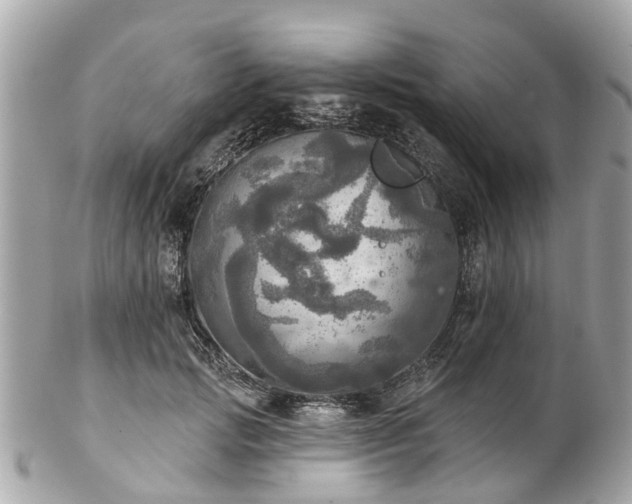 X0000102500749200808151520