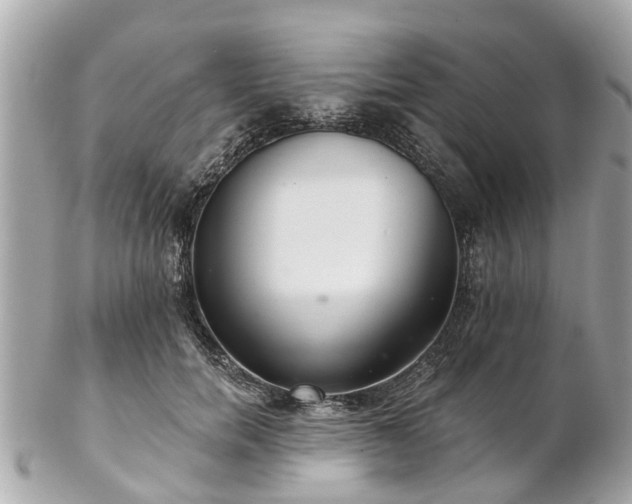 X0000102500750200808151520