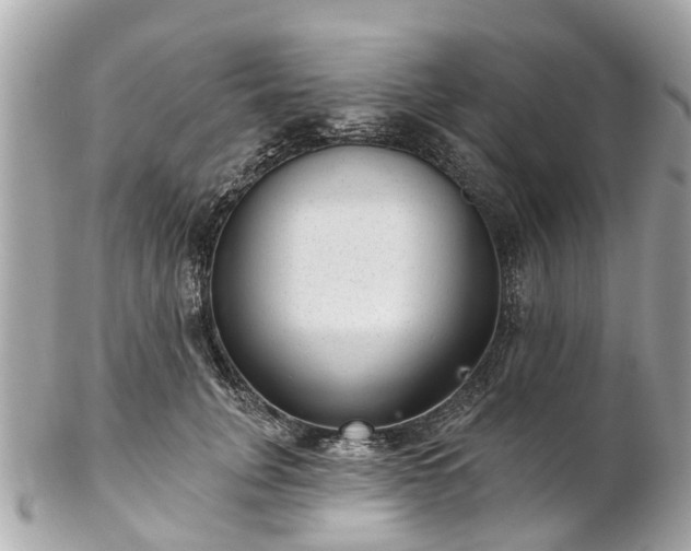 X0000102500751200808151520