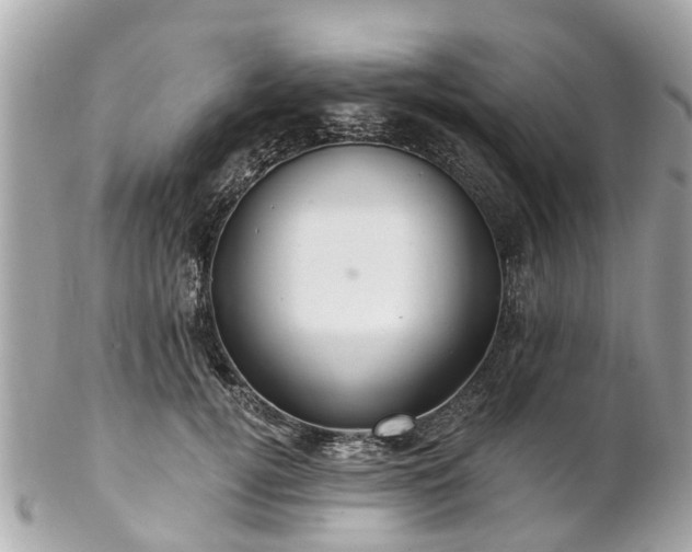 X0000102500752200808151520