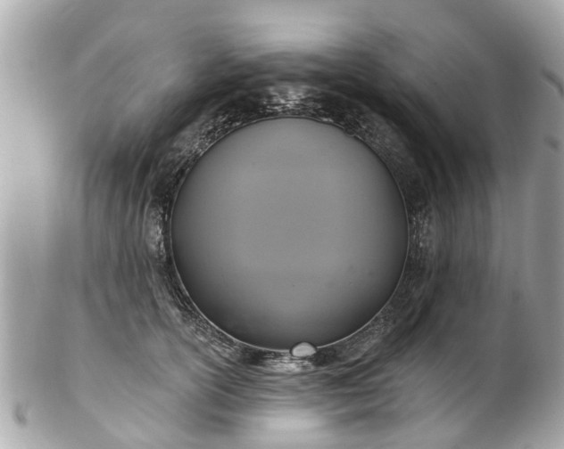 X0000102500754200808151520