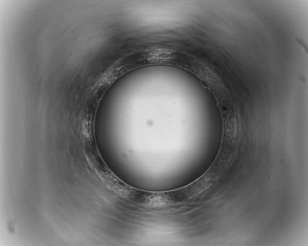 X0000102500755200808151520