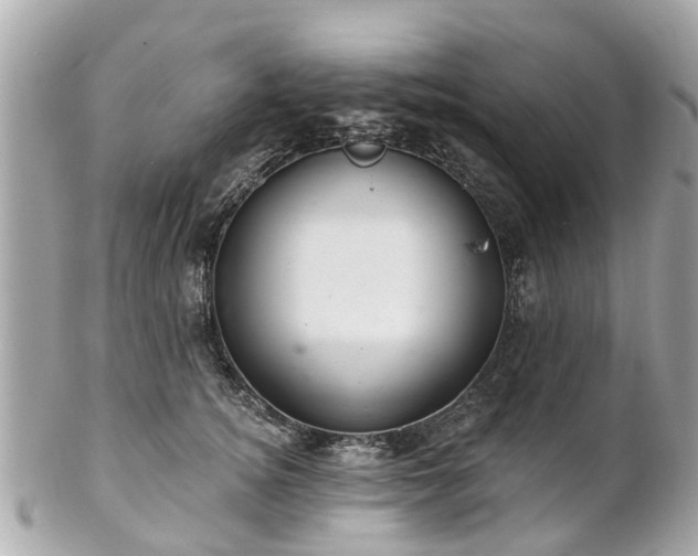 X0000102500756200808151520