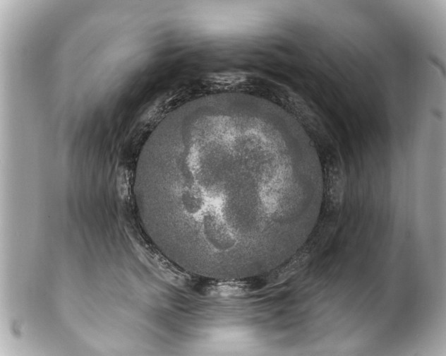 X0000102500758200808151520