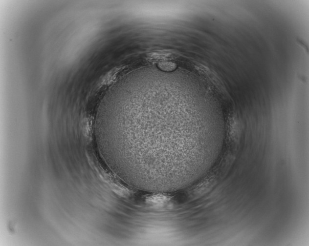 X0000102500759200808151521