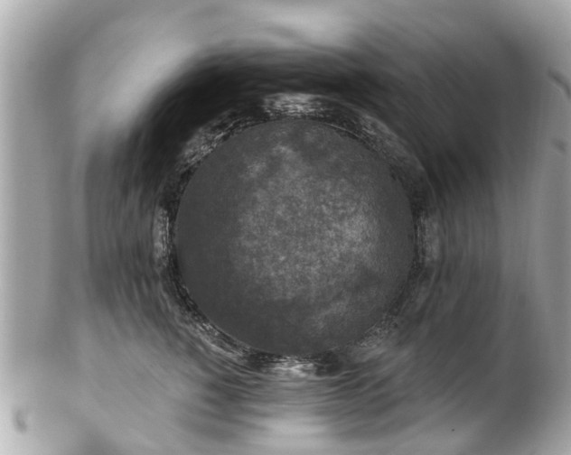 X0000102500760200808151521