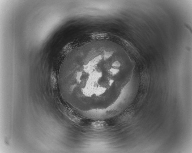 X0000102500761200808151521