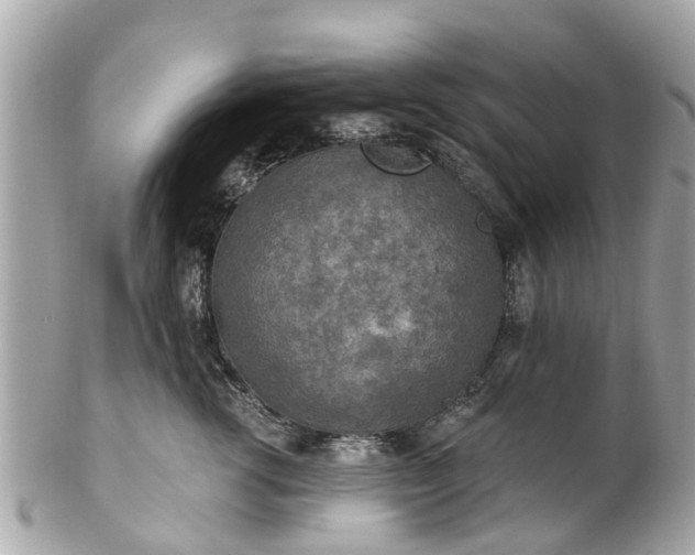 X0000102500762200808151521