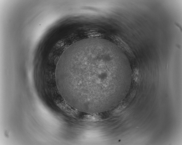 X0000102500763200808151521