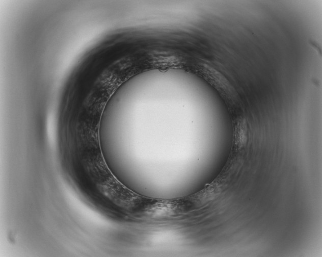 X0000102500764200808151521