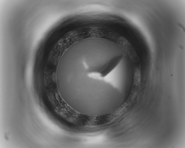 X0000102500765200808151521