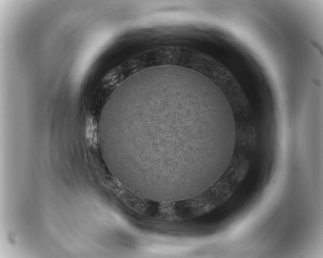 X0000102500766200808151521