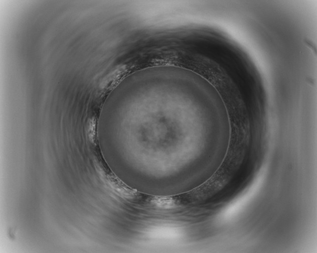 X0000102500767200808151521