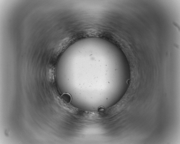 X0000102500768200808151521