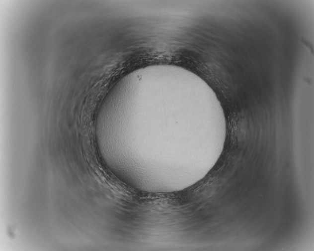 X0000102500769200808151520