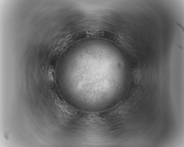 X0000102500770200808151520