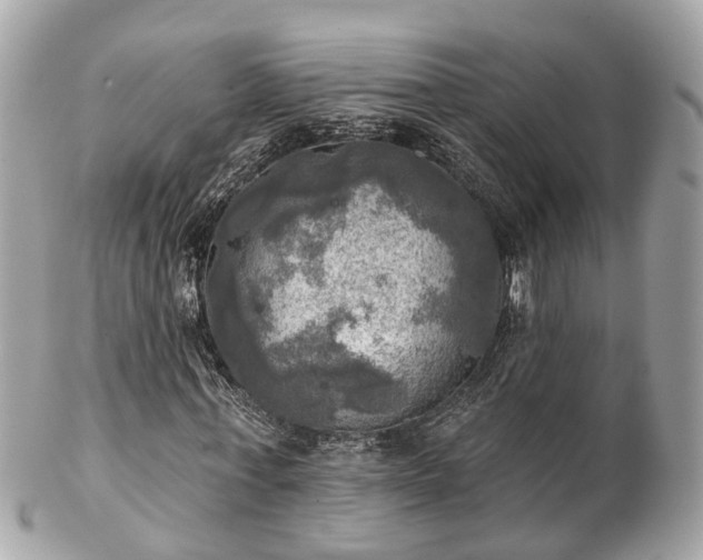 X0000102500771200808151520