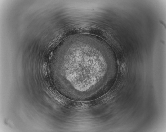 X0000102500772200808151520