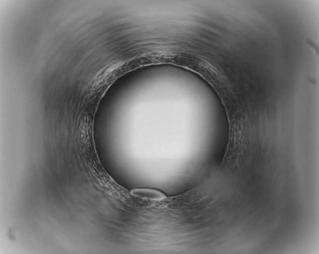 X0000102500773200808151520