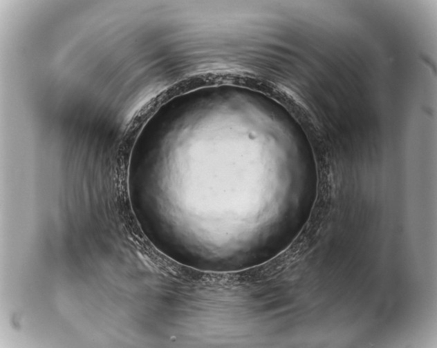 X0000102500775200808151520