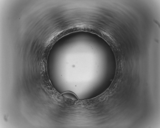 X0000102500776200808151520