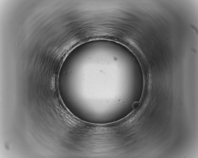 X0000102500777200808151520