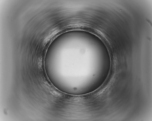 X0000102500778200808151520