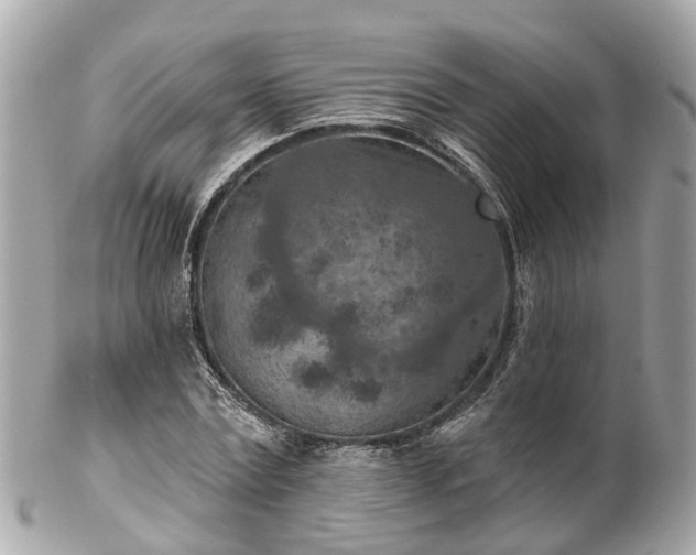 X0000102500779200808151520