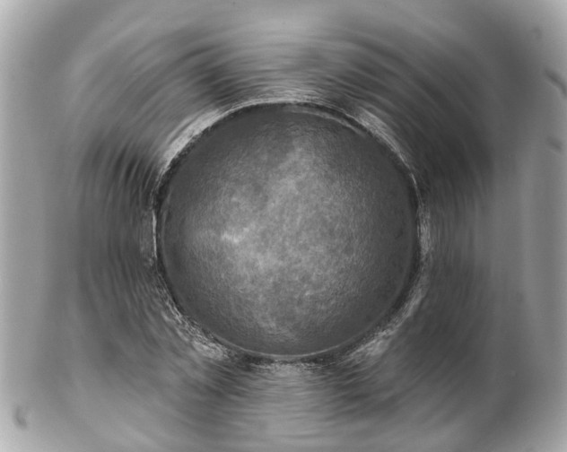 X0000102500781200808151520