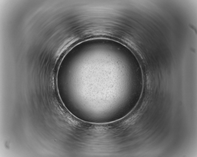 X0000102500782200808151520