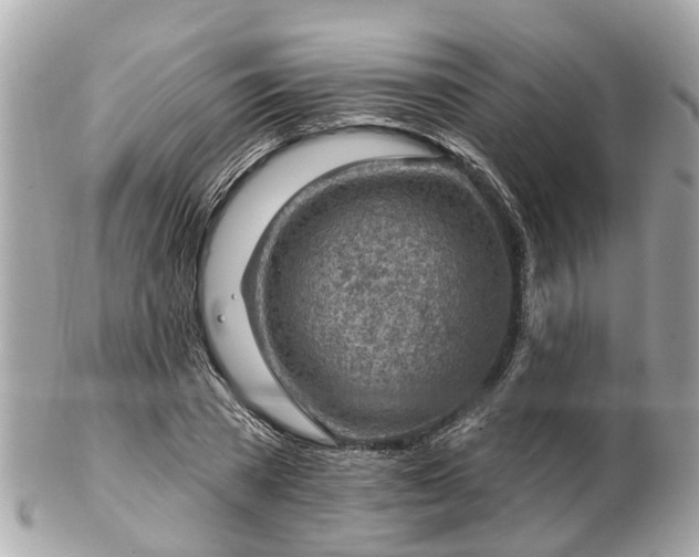 X0000102500785200808151519