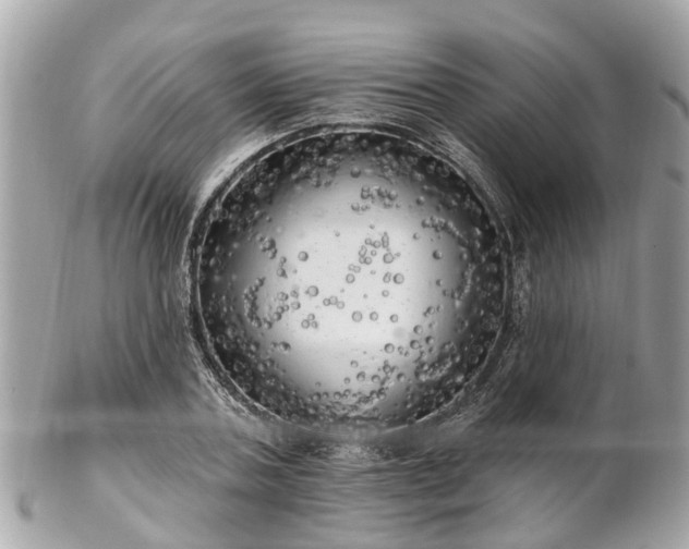 X0000102500787200808151519