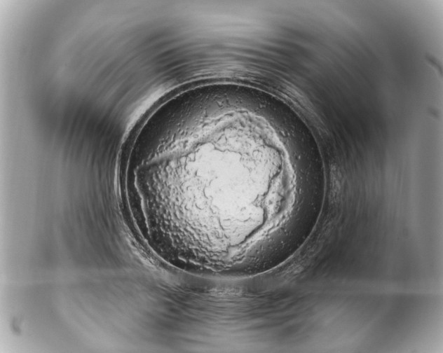 X0000102500788200808151519