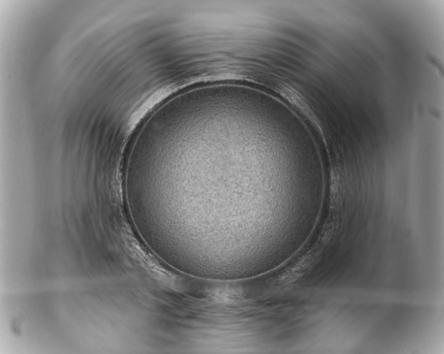 X0000102500789200808151519