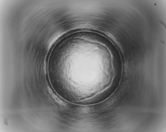 X0000102500791200808151519