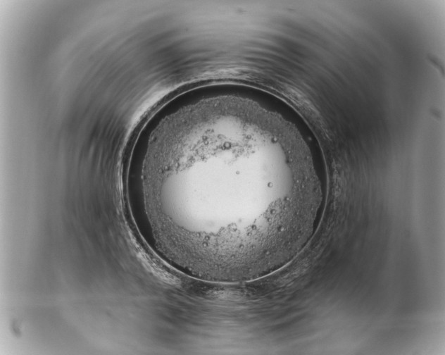 X0000102500792200808151519