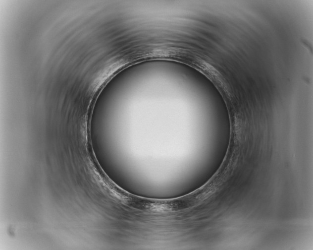 X0000102500794200808151519