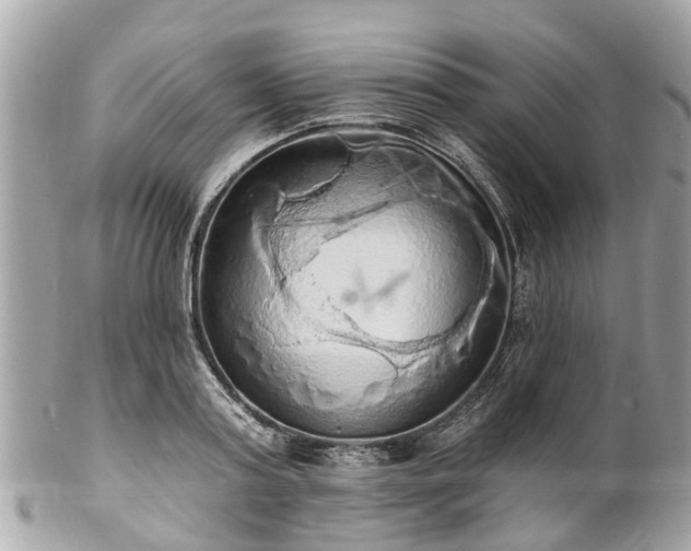X0000102500795200808151519