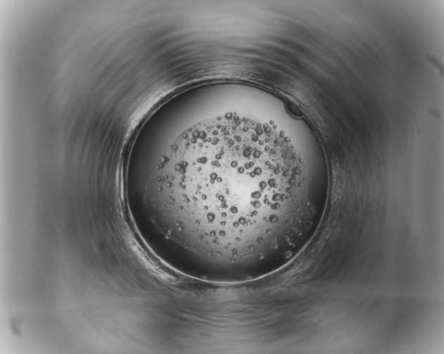 X0000102500796200808151519