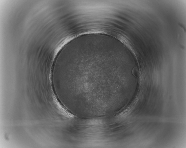 X0000102500797200808151519