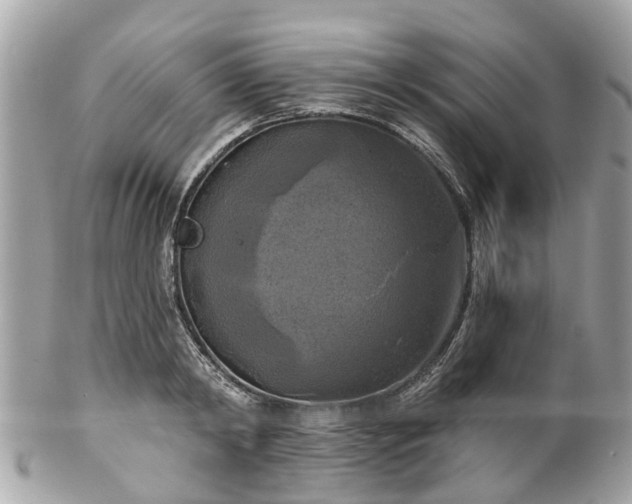 X0000102500798200808151519