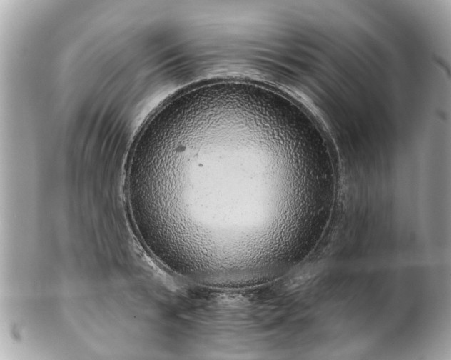 X0000102500799200808151519